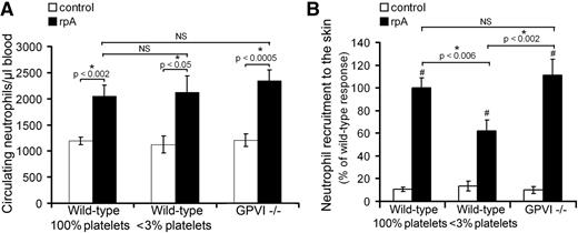 Figure 2. Platelet contribution to neutrophil peripheral mobilization and recruitment to the skin during the cutaneous rpA reaction. (A) Comparison of the circulating neutrophil count in control wild-type, thrombocytopenic, and GPVI−/− mice before and after induction of the rpA reaction. (B) Quantification and comparison of neutrophil recruitment as assessed by measurement of skin MPO content. # indicates a statistically significant increase (P < .05) in skin MPO content as compared with control spots from control wild-type mice. n = 6-12 mice per group. NS, not significant.