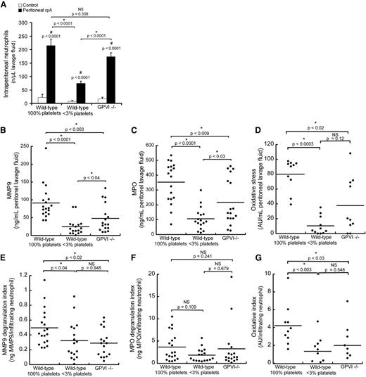 Figure 4. Regulation of neutrophil infiltration, degranulation, and oxidative stress by platelets during the peritoneal rpA reaction. (A) Comparison of neutrophil content in peritoneal lavage fluids from control wild-type, thrombocytopenic, and GPVI−/− mice that were subjected or not to the rpA reaction in the peritoneal cavity. (B-D) Quantification and comparison of MMP-9 (B) and MPO (C) protein levels and of oxidative stress (D) in peritoneal lavage fluids from control wild-type, thrombocytopenic, and GPVI−/− mice subjected to the peritoneal rpA reaction. Each dot corresponds to a mouse. (E-G) MMP-9 (E) and MPO (F) degranulation indexes and oxidative index (G) of mice subjected to the peritoneal rpA reaction Degranulation and oxidative indexes were calculated by dividing levels of MMP-9, MPO, and oxidative activity measured in lavage fluids by the number of infiltrating neutrophils. Each dot represents 1 mouse. NS, not significant.