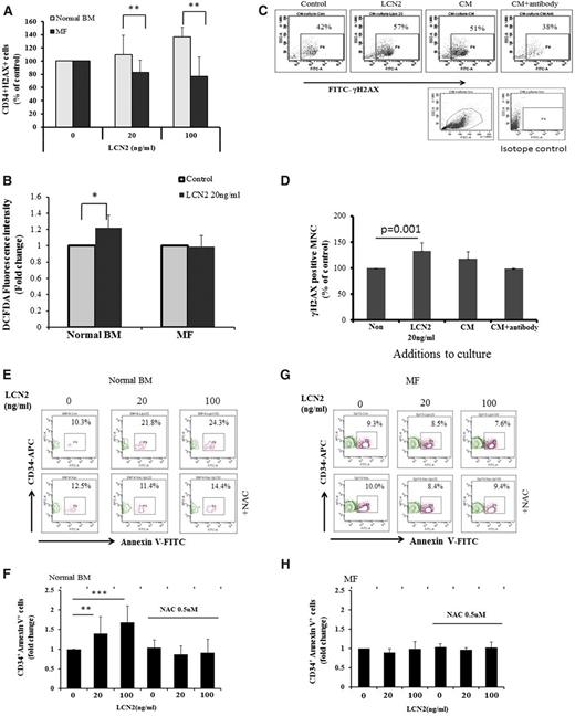 Figure 4. LCN2 induces DNA damage and increases ROS in normal, but not MF, CD34+ cells. (A) Treatment with LCN2 increased the proportion of normal, but not MF, CD34+ /γ-H2AX+ cells (repeated-measures ANOVA F test; **P < .01; n = 4). (B) Flow cytometric analysis of intensity of 2′,7′-dichlorofluorescein diacetate fluorescence, used to quantitate intracellular ROS, in normal and MF CD34+ cells (*P < .05, n = 5 and n = 6, respectively). (C) Flow cytometric analysis showing that treatment with MF CM increased the proportion of γ-H2AX+ normal BM MNCs to a similar degree as that induced by 20 ng/mL of LCN2. Prior incubation of an LCN2 antibody (R&D Systems) with MF MNC-CM reduced the proportion of γ-H2AX+ normal BM MNCs. (D) The increase in the proportion of normal γ-H2AX+ BM MNCs after the addition of LCN2 was not observed with the addition of an LCN2 antibody (repeated-measures ANOVA F test; P = .001; n = 4). (E-F) LCN2 treatment of normal BM CD34+ cells dramatically increased the percentage of CD34+annexinV+ cells (**P = .0081, ***P = .0008; n = 8); this increase was not observed with the addition of NAC to LCN2-containing cultures (repeated-measures ANOVA F test). (G-H) The percentage of MF annexinV+CD34+ cells was not increased after the addition of LCN2 or the addition of NAC to LCN2-containing cultures (repeated measures ANOVA F test; *P > .05; n = 6). NAC, N-acetylcysteine.