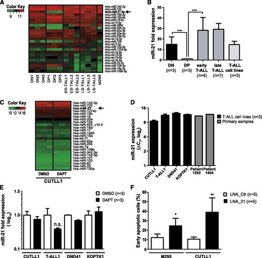 Figure 5. KD of miR-21 in T-ALL induces apoptosis. (A) Heatmap of the 25 most abundantly expressed miRNAs as assessed by microarray in FACS-sorted mouse CD4−CD8− DN (n = 3) and CD4+CD8+ DP (n = 3) thymocytes compared with early stage (ES-TALL, n = 3) and late-stage (LS-TALL, n = 3) primary mouse T-ALL samples and mouse T-ALL cell line M295. (B) qRT-PCR validation of miR-21 expression in independent mouse samples compared with CD4+CD8+ DP thymocytes and normalized to sn-U6. Samples used: DN, sorted DN thymocytes; DP, sorted DP thymocytes; early T-ALL, polyclonal early stage mouse T-ALL; late T-ALL, oligoclonal late-stage mouse T-ALL samples; T-ALL cell lines, 3 independent mouse T-ALL cell lines. (C) Heatmap of the 25 most abundantly expressed miRNAs assessed by microarray in a human T-ALL cell line CUTLL1. Cells (n = 3 independent samples per condition) were treated either with dimethylsulfoxide (DMSO) or difluorophenylacetyl-L-alanyl-S-phenylglycine t-butyl ester (DAPT) (10 µM) for 3 days prior to analysis. (D) miR-21 expression analysis by qRT-PCR on human T-ALL cell lines CUTLL1, T-ALL1, DND41, and KOPTK1 (black bars, n = 3 independent samples per cell line) normalized to sn-U6 as illustrated by ΔCT values. Furthermore, 2 primary T-ALL patient samples were analyzed for miR-21 expression (gray bars). (E) qRT-PCR was performed on RNA samples extracted from the gamma secretase inhibitor (GSI)-sensitive T-ALL cell lines CUTLL1, T-ALL1, DND41, and KOPTK1. Cells were treated with DMSO or DAPT (10 µM) for 3 days. qRT-PCR for miR-21 was performed, and expression levels were normalized to sn-U6 expression. (F) Quantification of early apoptosis (7-AAD− Annexin-V+) in fluorescein (FAM)+ T-ALL cell lines M295 and CUTLL1 3 days posttransfection with FAM-LNA anti-miR-21 (▪, LNA_21, n = 5) or control (□, LNA_Ctr, n = 5). Data (E-F) are pooled from 2 independent experiments. *P < .05; **P < .01; ***P < .001.