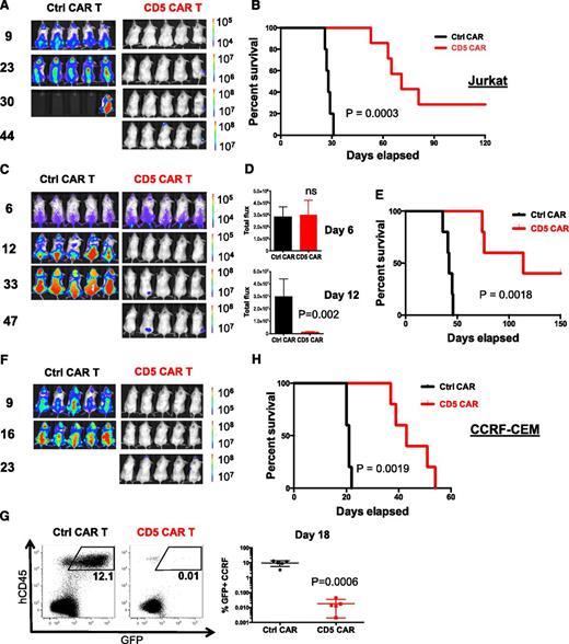 Figure 6. CD5 CAR T cells control progression of T-ALL in xenograft mouse models. (A) Jurkat-FFluc cells (3 × 106 per mouse) were IV injected followed by IV injection of CAR T cells (10 × 106 per mouse) on days 3 and 6 postimplantation. Tumor burden was assessed by IVIS imaging at indicated time points. (B) Kaplan–Meier survival curve; mice were euthanized after developing hind limb paralysis. (C) Eradication of systemic disease by CD5 CAR T cells. Mice were engrafted with Jurkat-FFluc cells, which established systemic disease by day 6. (D) Total luminescence from Jurkat cells recorded on day 6 (prior to CAR T-cell injection) and day 12. (E) Kaplan–Meier survival curve for eradication of systemic disease. (F) CCRF-CEM–FFluc cells (1 × 106 per mouse) were IV injected followed by IV injection of CAR T cells (10 × 106 per mouse) on day 3 and 6 post-implantation. Tumor burden was assessed by IVIS imaging at indicated time points. (G) Relative frequency CCRF-GFP in peripheral blood of mice on day 18 post-engraftment is shown on representative dot plots. (H) Kaplan–Meier survival curve for the CCRF model. P values are shown for each experiment.