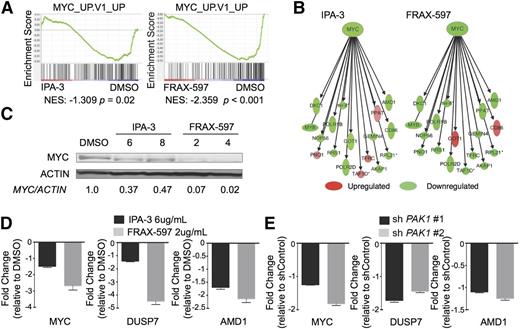 Figure 4. PAK1 inhibition leads to leukemic cell death by downregulation of MYC and a MYC transcriptional network. (A) Gene Set Enrichment Analysis of genes expressed differently in IPA-3 (6 μg/mL) or FRAX-597 (2 μg/mL) treated THP-1 cells compared with DMSO. (B) Ingenuity Pathway Analysis-generated image showing the downregulation of genes from the MYC network following treatment with either IPA-3 (6 μg/mL) or FRAX-597 (2 μg/mL). Intensities indicate degree of up- or downregulation. (C) Western blot shows reduction of MYC protein levels after 4 hours of treatment with IPA-3 or FRAX-597 in THP-1 cells. Concentrations shown are micrograms per milliliter. (D) qPCR validation of downregulated MYC network genes after treatment of THP-1 cells with either DMSO, IPA-3 (6 μg/mL) or FRAX-597 (2 μg/mL). (E) qPCR validation of downregulated MYC network genes after knockdown of PAK1 in THP-1 AML cells.