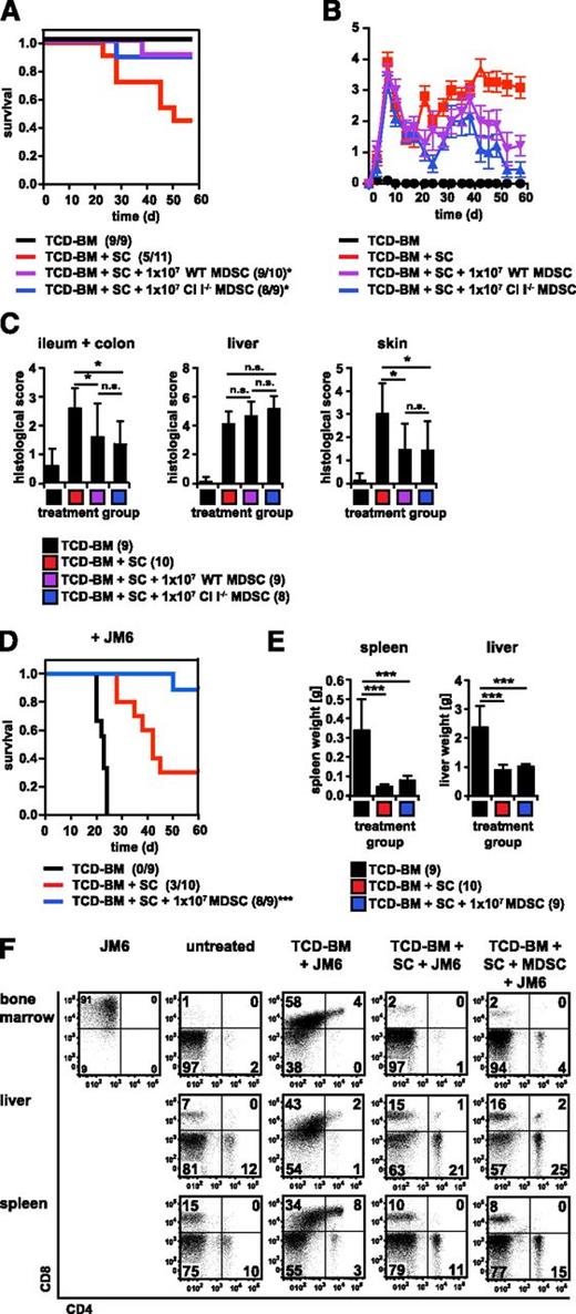 Figure 2. MDSC-mediated GVHD suppression is independent of MHC class I expression and does not interfere with the GVT effect. (A-C) Lethally irradiated B6.bm1 recipient mice were reconstituted with TCD-BM from B6 mice without or with B6-derived SCs and conjected with 1 × 107 B6-derived WT or MHC Cl I−/− (Cl I−/−) MDSCs. Survival (A) and GVHD-scores (B) were determined and surviving animals/total animals treated are indicated in the survival curve in brackets. (A) TCD-BM + SC vs TCD-BM + SC + 1 × 107 WT MDSC, *P ≤ .05; TCD-BM + SC vs TCD-BM + SC + 1 × 107 Cl I−/− MDSC, *P ≤ .05. (B) Error bars indicate ± SEM. (C) Paraffin sections of ileum and colon (left), liver (middle), and skin (right) of 8 to 10 animals/treatment group were analyzed for histologic signs of GVHD on the day mice were euthanized due to their moribund state or at the end of the experiment, *P ≤ .05, n.s., not significant. (D-F) Lethally irradiated B6.bm1 mice were transplanted with B6-derived TCD-BM in the presence or absence of B6-derived SCs and 1 × 107 B6-derived MDSCs. CD8+ JM6-thymoma cells (H-2Kbm1) were conjected. Mice were analyzed for survival and surviving animals/total animals treated are indicated in brackets. TCD-BM + SC vs TCD-BM + SC + 1 × 107 MDSC; ***P ≤ .001 (D). (D) Spleen and liver weights were determined either the day mice were euthanized due to their moribund state or at the end of the experiment; ***P ≤ .001 (E). (F) Presence of tumor cells in BM, liver, and spleen was determined by the expression of CD8. CD4 and CD8 expression was compared with nontransplanted B6.bm1 mice (untreated). FACS analysis is shown for 1 representative mouse out of at least 5 mice analyzed at the end of the experiment or the day mice were euthanized due to their moribund state.