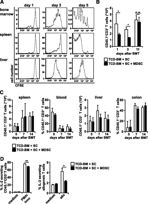 Figure 3. In vitro-generated MDSCs proliferate in vivo, reduce alloantigen-specific T-cell proliferation only early after transplantation, and do not interfere with allogeneic T-cell homing. (A) Lethally irradiated B6.bm1 recipient mice (H-2Kbm1, CD45.2+) were reconstituted with BM and SCs from B6 mice (H-2Kb, CD45.2+) and co-injected with 1 × 107 CFSE labeled B6.SJL-derived MDSCs (H-2Kb, CD45.1+). Different days after transplantation, mice were euthanized, stained for CD45.1, and proliferation of transplanted CD45.1+ MDSCs was analyzed by CFSE dilution in BM (top), spleen (middle), and liver (bottom) cells. (B-D) Lethally irradiated B6.bm1 recipient mice (H-2Kbm1, CD45.2+) were reconstituted with BM from B6 mice (H-2Kb, CD45.2+) plus B6.SJL-derived SCs (H-2Kb, CD45.1+) in the presence or absence of 1 × 107 B6-derived MDSCs (H-2Kb, CD45.2+). One, 3, and 11 days after BMT, mice were euthanized, SCs stained for CD45.1 and CD3, and numbers of CD45.1+CD3+ T cells were determined (B). Different days after transplantation, spleen, blood, liver, and colon cells were stained for CD45.1 and CD3, and numbers of infiltrating CD45.1+CD3+ T cells were determined in spleen and liver, whereas the percentage of CD45.1+CD3+ T cells was calculated in the blood and colon (C). SCs of mice receiving allogeneic BM and SCs in the presence or absence of MDSCs were isolated 7 days after transplantation and re-stimulated in vitro with medium, PMA/iono or allogeneic B6.bm1 SCs (allo). After 5 hours, the percentage of IL-2–secreting CD45.1+ T cells was determined (D). FACS diagrams are representative for 1 mouse out of 5 analyzed (A). Data represent the mean value ± SD of 5 mice analyzed in (B), of 3 mice analyzed in (C), and of triplicates from SCs, which were pooled from spleens of 7 mice treated in (D); *P ≤ .05; **P ≤ .01. n.s., not significant. No significant statistical differences were detected in T-cell numbers between TCD-BM + SC vs TCD-BM + SC + 1 × 107 MDSCs in (C).