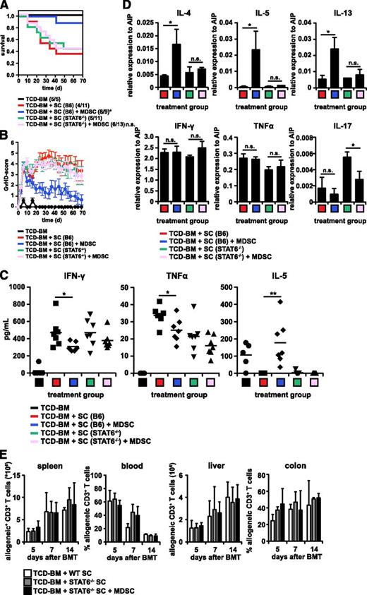 Figure 5. Induction of type 2 T cells is required for MDSC-mediated GVHD suppression. (A-D) Lethally irradiated B6.bm1 recipient mice were reconstituted with TCD-BM from B6 mice without or with B6-derived SCs or SCs derived from STAT6−/− animals in the absence or presence of 1 × 107 B6-derived MDSCs. Survival (A) and GVHD scores (B) were determined. (A) TCD-BM + SC (B6) vs TCD-BM + SC (B6) + 1 × 107 MDSCs, *P ≤ .05; TCD-BM + SC (STAT6−/−) vs TCD-BM + SC (STAT6−/−) + 1 × 107 MDSCs, P = .94. Surviving animals/total animals treated are indicated in brackets. (B) Error bars indicate ± SEM. TNF-α, IFN-γ, and IL-5 concentrations were determined in the serum of transplanted animals 10 days after BMT (C). Ten days after transplantation, mice were euthanized and CD3+ T cells were isolated. qRT-PCRs for the expression of cytokines IL-4, -5, -13, -17, TNF-α, and IFN-γ were performed, and relative expression to AIP was calculated (D). (E) Lethally irradiated B6.bm1 recipient mice were reconstituted with TCD-BM from B6 mice, together with B6.SJL-derived SCs or SCs derived from STAT6−/− animals, in the absence or presence of 1 × 107 B6-derived MDSCs. Different days after BMT, spleen, blood, liver, and colon cells were analyzed for numbers of infiltrating CD3+ T cells in spleen and liver, whereas the percentage of CD3+ T cells was calculated in blood and colon. B6.SJL-derived allogeneic T cells were detected by gating on CD45.1+CD3+ T cells, whereas STAT6−/−-derived allogeneic T cells were detected by gating on STAT6−/−CD3+ T cells. Data represent the mean value ± SD analyzed of triplicates from spleens of at least 5 mice pooled (D) or of 3 mice analyzed on each time point (E). *P ≤ .05; **P ≤ .01; n.s. = not significant. No significant statistical differences were detected in T-cell numbers between the different treatment groups (E). n.s, not significant.