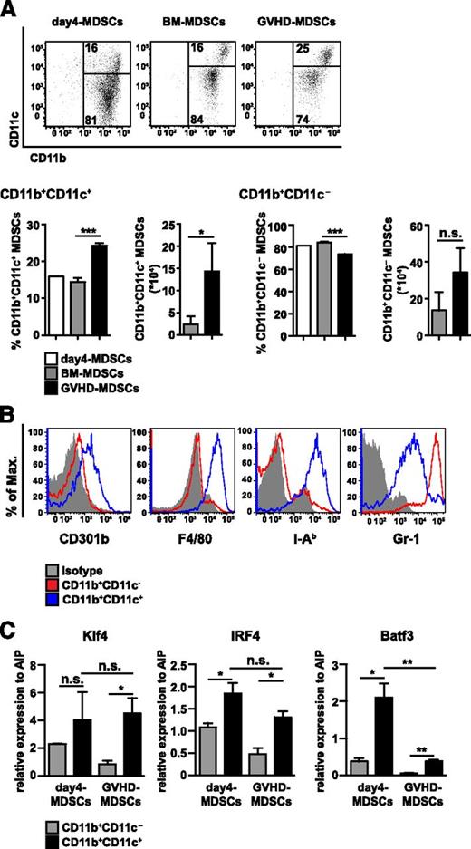 Figure 6. A CD11b+CD11c+Gr-1medCD301b+I-Ab+ MDSC subpopulation expands under GVHD conditions in vitro. (A-C) B6-derived MDSCs were generated in vitro in the presence of GM-CSF and G-CSF. After 4 days, in vitro-generated MDSCs (day4-MDSCs) were incubated for 3 days with medium supplemented with 2.5% serum from mice receiving either TCD-BM alone (BM-MDSCs) or TCD-BM plus SCs (GVHD-MDSCs). Cells were stained for CD11b and CD11c expression before and after serum incubation, and percentage and absolute numbers of CD11b+CD11c− and CD11b+CD11c+ cells were determined. Data represent the mean of triplicates ± SD of 1 representative experiment out of 3 experiments performed (A). Cells were stained for CD11b and CD11c, and the expression of CD301b, F4/80, I-Ab, and Gr-1 was determined on CD11b+CD11c− and CD11b+CD11c+ subpopulations 3 days after serum incubation. Data show 1 representative FACS staining from 3 independent experiments performed. Isotype staining is shown for the CD11b+CD11c+ population but was identical in the CD11b+CD11c− population (B). CD11b+CD11c− and CD11b+CD11c+ cells were isolated from day 4 MDSCs and GVHD-MDSCs, and mRNA expression of Klf4, IRF4, and Batf3 was determined, and relative expression to AIP was calculated. Data represent the mean ± SD of 3 independent experiments performed (C). *P ≤ .05; **P ≤ .01; ***P ≤ .001. n.s., not significant.