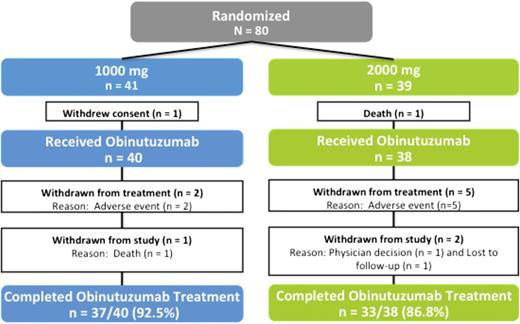 Figure 1. Patient disposition.