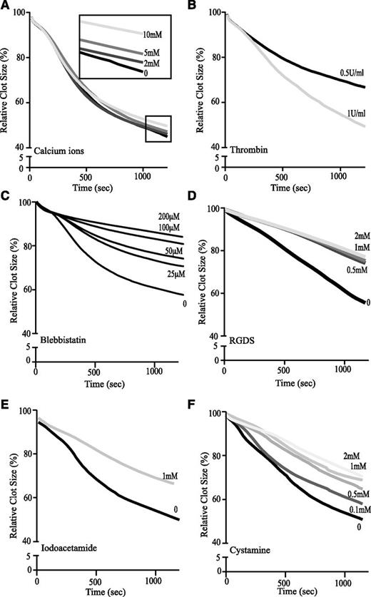 Figure 2. Kinetics of clot contraction in whole blood. Curves tracking changes in the size of contracting clots formed in citrated whole blood. (A) Samples were clotted with 1 U/mL thrombin in the presence of 0, 2, 5, and 10 mM CaCl2. (B) Samples were clotted with 0.5 or 1 U/mL of thrombin and 2 mM CaCl2. (C-F) Samples were clotted with 1 U/mL and 2 mM CaCl2. (C) Myosin IIA was inhibited through the addition of blebbistatin at 25, 50, 100, and 200 μM final concentrations. (D) Fibrin-platelet interactions were impaired by adding RGDS at 0.5, 1, and 2 mM final concentrations. (E, F) Cross-linking of fibrin was suppressed with 1 mM iodoacetamide (E) and 0.1, 0.5, 1.0, and 2.0 mM cystamine (F).
