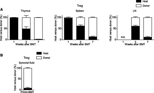 Figure 1. Congenic BMT for arthritis renews the Treg compartment with donor-derived Tregs. Host T cells (black bar, CD90.2+) were distinguished from donor T cells (white bar, CD90.1+) using a different congenic marker. After transplantation, thymus, spleen, and LNs were analyzed at weeks 1, 3, and 7 for the presence of host and donor Tregs (TCRβ+CD4+CD25+Foxp3+). Results shown are from 2 combined experiments. (A) Percentage of host and donor Tregs. Thymus: 1 week, N = 3; 3 weeks, N = 6; and 7 weeks, N = 8. Spleen: 1 week, N = 2; 3 weeks, N = 6; and 7 weeks, N = 8. LN: 3 weeks, N = 6; and 7 weeks, N = 8. (B) Host and donor Treg distribution in synovial fluid 7 weeks post-BMT (N = 2). All results shown are in percentages (±SEM values). N.D., not determined due to lack of cells.