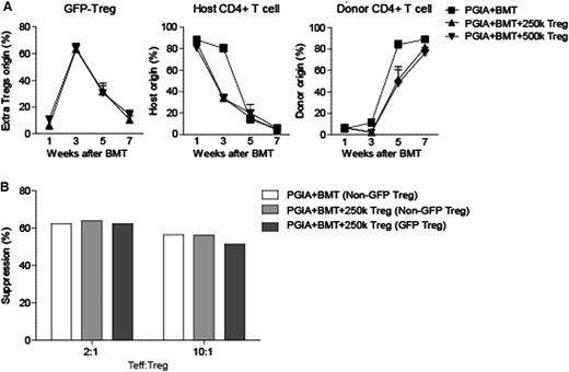Figure 5. Extra Foxp3GFP+ Tregs infused at the time of BMT are retraceable during follow-up and remain functional. Arthritic mice were treated with 2 × 106 congenic BM cells (BMT). In addition, 2 treatment groups received 250,000 or 500,000, GFP+ Tregs in the BM graft. Blood was analyzed 1, 3, 5, and 7 weeks after BMT. (A) Percentages of additional infused Foxp3GFP+ Tregs (left), host TCRβ+CD4+ T cells (middle), donor TCRβ+CD4+ T cells (right). PGIA+BMT, N = 4; PGIA+BMT+250,000 Tregs, N = 5; PGIA+BMT+500,000 Tregs, N = 5. (B) Suppression assay of Tregs from PGIA+BMT-treated mice (white bar), non-GFP Tregs from mice treated with PGIA+BMT+250,000 (light gray), and Foxp3GFP+ Tregs from mice treated with BMT+250,000 Tregs (dark gray). Tregs were added in 1:2 and 1:10 ratios to healthy effector T cells (Teff). Tregs were pooled per treatment group before adding to the effector T cells. PGIA+BMT, N = 2 mice; PGIA+BMT+250,000 Tregs, N = 3.