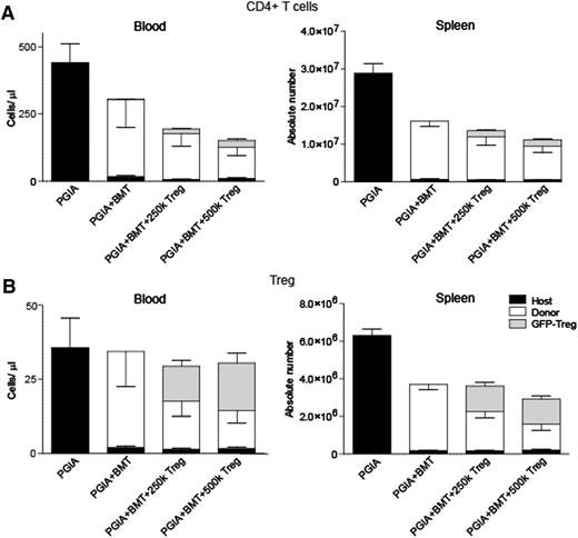 Figure 7. Addition of extra Foxp3GFP+ Treg results in a reconstitution delay of donor-BM–derived Tregs. (A-B) Seven weeks post-BMT, blood and spleen cells were isolated and stained with congenic markers to distinguish extra injected Foxp3GFP+ Treg (gray bar), host (black bar), and donor (white bar) CD4+ T cells (TCRβ+CD4+) and Tregs (TCRβ+CD4+CD25+Foxp3+). (A) CD4+ T-cell reconstitution in blood (left) and spleen (right). (B) Treg reconstitution in blood (left) and spleen (right). All figures show absolute numbers ± SEM error bars. PGIA, N = 3; PGIA+BMT, N = 4; PGIA+BMT+250,000 Tregs, N = 5; and PGIA+BMT+500,000 Tregs, N = 5. *P < .05 for donor cell compartment.