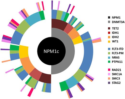 Figure 5. Molecular heterogeneity of AML exemplified by mutational profiling in NPM1c AML. Summary of targeted sequencing data using a published panel100 covering 14 mutational groups conducted in diagnostic samples from a cohort of 223 patients with NPM1c AML.9 Each spoke radiating from the central NPM1c hub represents the mutation pattern of a single patient. Cooperating mutations are grouped into 4 tiers according to function and color coded according to the figure key, and white space indicates no mutation. For example, in the patient displayed at 12 o’clock, mutations were detected in NPM1, DNMT3A, TET2, FLT3 (ITD), and STAG2. Overall, based on mutational combination, patients segregated into >75 different subgroups.