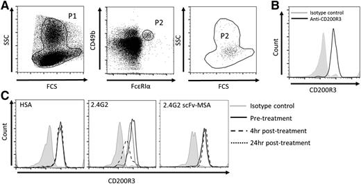 Figure 5. Basophil activation induced by antibody 2.4G2 and 2.4G2 scFv-MSA. (A) To analyze CD200R3 levels on basophils, RBCs in peripheral blood were lysed by ammonium chloride buffer before staining with anti-CD49b-Pacific Blue, anti-FcεRIα-PerCP/Cy5.5, and anti-CD200R3-FITC. The population within gate P1 represents PBMCs (left) and was further gated based on CD49b and FcεRIα expression levels. The population within P2 (middle) represents basophils (P2 shown in FCS and SSC plot, right), evidenced by expression of CD200R3 (B). (C) Mice were bled before treatment and 4 and 24 hours after administration of 0.43 nmol (65 µg) 2.4G2 or equimolar amounts of 2.4G2 scFv-MSA or HSA. Samples were stained with anti-CD49b-Pacific Blue, anti-FcεRIα-PerCP/Cy5.5, and anti-CD200R3-FITC. All samples were analyzed by MACS Quant. Data were analyzed by Flowjo V10 software. Dot plots and histograms representative of 6 to 7 mice per group from 4 independent experiments.