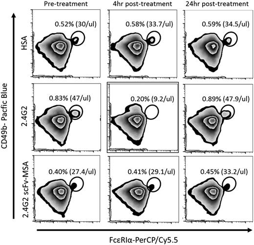 Figure 6. Transient basophil depletion induced by antibody 2.4G2 and 2.4G2 scFv-MSA. Mice were bled before treatment and 4 and 24 hours after treatment with 0.43 nmol (65 µg) 2.4G2 or equimolar amounts of 2.4G2 scFv-MSA or HSA. Ammonium chloride buffer was used to lyse RBCs before PMBCs were stained with anti-CD49b-Pacific Blue, anti-FcεRIα-PerCP/Cy5.5, and anti-CD200R3-FITC. Stained samples were analyzed by MACS Quant, and data were analyzed by Flowjo V10 software. Basophils were identified as CD49 dim, FcεRIα positive, and CD200R3 positive. A round gate is used to mark basophil population. The frequency represents the percentage of basophils within the whole PBMC population shown as P1 in Figure 5A. Basophil concentrations (per microliter blood) represent in vivo concentrations. Histograms are representative of 6 to 7 mice per group from 4 independent experiments.