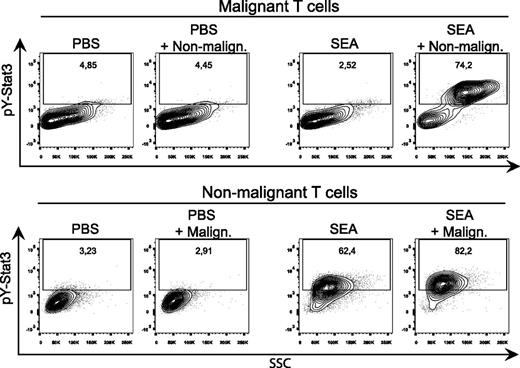 Figure 2. SEs activate and phosphorylate STAT3 in both malignant and nonmalignant T cells. (A) Representative flow cytometric analysis of CFSE-stained malignant (SeAx) and nonmalignant (MF1850) T-cell lines mono- and cocultured with either vehicle (PBS) or recombinant SEA (50 ng/mL) for 24 hours. All samples were stained for pY(705)-STAT3. “PBS + Malign.” signifies gated nonmalignant T cells cocultured with malignant T cells, and vice versa for “SEA + Non-malign.”