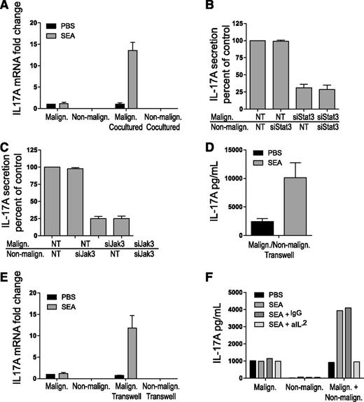 Figure 3. Enterotoxin induces IL-17 production in cocultured malignant T cells. (A) Malignant (SeAx) and nonmalignant (MF1850) T-cell lines were either mono- or cocultured with vehicle (PBS) or SEA (50 ng/mL) for 16 hours. The cocultured malignant and nonmalignant T cells were sorted by FACS, and the relative levels of IL-17A and GAPDH mRNA were determined in all samples by qPCR. In each sample, the level of IL-17A mRNA was normalized to that of GAPDH mRNA and depicted as fold change compared with monocultured malignant T cells with PBS. “Malign. Cocultured” signifies IL-17A expression in malignant T cells cocultured with nonmalignant T cells, and vice versa for “Non-malign. Cocultured.” (B-C) Malignant (SeAx) and nonmalignant (MF1850) T cells were transiently transfected with nontargeting (NT) or STAT3 specific siRNA (B) or JAK3-specific siRNA (C) and monocultured for 24 hours. Then, the transfected cells were washed and cocultured in the presence of SEA (50 ng/mL) for another 24 hours before the concentrations of IL-17A in cell culture supernatants were determined by ELISA. Data are presented as percentage of IL-17A secretion relative to cocultures of malignant and nonmalignant T cells transfected with NT siRNA. (D) Malignant (SeAx) and nonmalignant (MF1850) T-cell lines were cocultured separated by Transwells with vehicle (PBS) or SEA (50 ng/mL) for 24 hours. IL-17 concentrations in the supernatants were determined by ELISA. (E) Malignant (SeAx) and nonmalignant (MF1850) T-cell lines were either monocultured with Transwells or cocultured separated by Transwells for 24 hours. The relative levels of IL-17A and GAPDH mRNA were determined in all samples by qPCR. In each sample, the level of IL-17A mRNA was normalized to that of GAPDH mRNA and depicted as fold change compared with monocultured malignant T cells with PBS. “Malign. Transwell” signifies IL-17A expression in malignant T cells cocultured with nonmalignant T cells separated by a Transwell, and vice versa for “Non-malign. Transwell.” (F) Malignant (SeAx) and nonmalignant (MF1850) T-cell lines were mono- and cocultured with vehicle (PBS), SEA, SEA plus immunoglobulin G (IgG) isotype control, or SEA plus neutralizing IL-2 antibody (aIL-2). IL-17 concentrations in the supernatants were determined by ELISA. Error bars represent standard error of the mean of 3 independent experiments. GAPDH, glyceraldehyde-3-phosphate dehydrogenase; mRNA, messenger RNA.