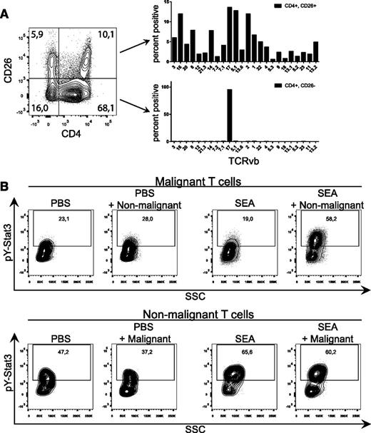 Figure 5. SEs induce STAT3 phosphorylation in primary malignant T cells cultured with nonmalignant T cells. (A) Representative flow cytometric analysis of freshly purified PBMCs from a CTCL patient stained with CD3, CD4, CD26, and a TCR-Vb panel. Bar plots demonstrate TCR-Vb repertoire of the malignant (CD3+, CD4+, CD26−) T-cell compartment and the nonmalignant (CD3+, CD4+, CD26+) compartment. (B) CD4+/CD26− (malignant T cells) and CD4+/CD26+ (normal T cells) were separated by FACS from freshly purified PBMCs from a CTCL patient. CD4+/CD26− and CD4+/CD26+ T cells were mono- and cocultured with either vehicle (PBS) or SEA (200 ng/mL) for 24 hours. After incubation, cells were stained for pY-STAT3. Intensity of pY-STAT3 staining is shown in the contour plot. “PBS + Non-malignant” signifies gated malignant T cells cocultured with nonmalignant T cells and stimulated with vehicle, and vice versa for “SEA + Malignant.”