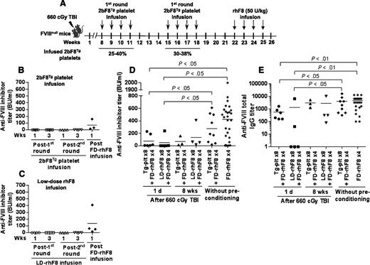 Figure 5. The immune response in FVIIInull mice that were preconditioned with a nonmyeloablative regimen, allowing an 8-week recovery before transfusion of platelet-FVIII or low-dose rhF8. FVIIInull mice were preconditioned with 660-cGy TBI. Eight weeks later, animals were transfused with 2bF8Tg platelets or low-dose rhF8 (2 U/kg). After 8 doses of infusion with either 2bF8Tg platelets or low-dose rhF8, animals were further challenged with full-dose rhF8 immunization. The anti-FVIII inhibitor titers from different time points were determined by Bethesda assay. (A) Schematic diagram of transfusion in FVIIInull mice that were preconditioned with 660-cGy TBI followed by 8 weeks of recovery. The transgenic platelets were transfused to a level between 25% and 40% of total platelets upon infusion. (B) The inhibitor titers in the animals that received 2bF8Tg platelet infusion. (C) The inhibitor titers in animals that received low-dose rhF8 infusion. (D) Comparison of inhibitor titers among 6 groups of animals under various conditions. (E) Comparison of total anti-FVIII IgG titers among 6 groups of animals under various conditions. These results suggest that the immune suppression induced by 2bF8Tg platelet or low-dose rhF8 transfusion occurs during the early phase of BM recovery following 660-cGy TBI.