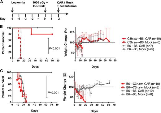 Figure 1. Treatment with allogeneic CAR T cells following B6 → C3h.sw BMT resulted in early mortality. (A) Treatment protocol: mice received 106 E2a:PBX leukemia cells on day −5, followed by myeloablative radiation (1000 cGy) and a TCD BMT (3.5-4 × 106 cells) on day 0, followed by adoptive transfer of 106 CAR or mock T cells on day +2. (B) Leukemia-bearing B6 recipients received B6 (black) or C3h.sw (red) BM and T cells (CAR transduced in solid lines and mock T cells in dashed lines). Survival and weight change from baseline were monitored. (C) Allogeneic transplant was now with C3h.sw as recipients of B6 CAR (red, solid) or mock (red, dashed) T cells. Survival and weight change from baseline are shown. Survival graphs indicate pooled data from 2 replicate experiments.