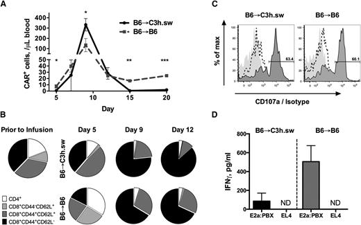 Figure 3. CAR cells maintain potency despite the allogeneic environment. (A) Absolute number of donor CAR T cells in 1 μL of peripheral blood, following B6 → C3h.sw allo-BMT (black solid) or B6 → B6 syngeneic BMT (gray dotted), gated on CD45.1+ CAR+ T cells. Data shown was generated from 5 mice per group and are representative of 2 separate experiments. (B) T-cell subsets in the CAR T-cell product prior to infusion and in allogeneic vs syngeneic recipients as in (A). (C-D) Mice were euthanized on day 7 post-BMT and CD45.1+ sorted splenocytes were incubated for 4 hours with target. Data are representative of 3 separate experiments. (C) CD107a expression on CD8+CD45.1+ cells in culture. CD45.1+ cells co-cultured with E2a:PBX CD19+ leukemia (dark gray plot); CD45.1+ cells co-cultured with EL4 CD19− cells (dashed line); CD45.1+ cells co-cultured with E2a:PBX1 and stained with isotype control (gray shadow). (D) IFN-γ production by ELISA following the same co-cultures. *P < .05, **P < .01, ***P < .001. ND, not detected.