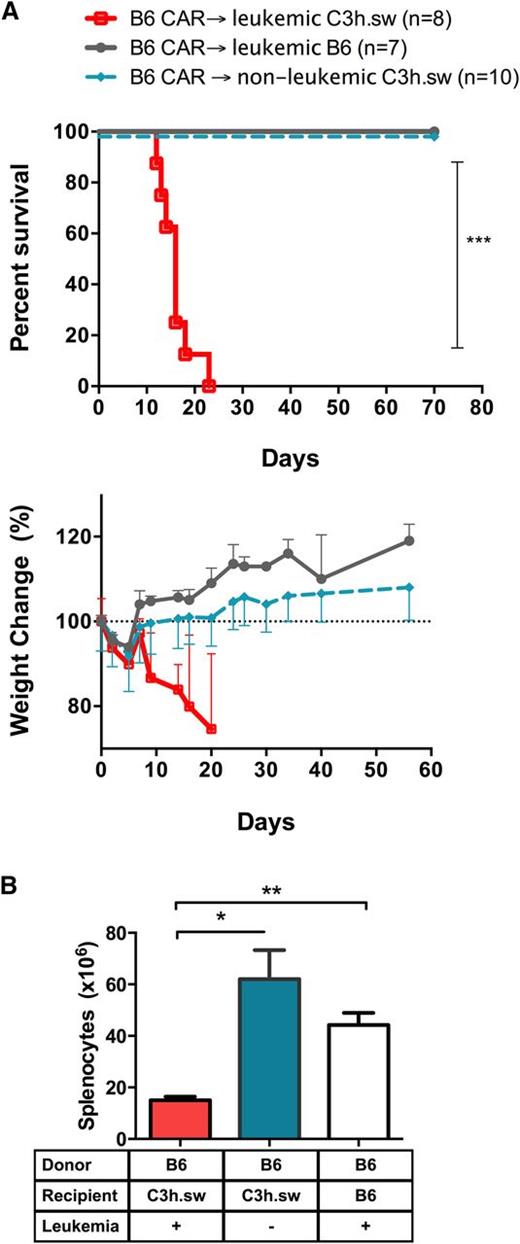 Figure 4. Absence of leukemia abrogates CAR-induced GVHD. (A) Survival curves (top) and percent weight change (bottom) of leukemia-bearing B6 mice (gray), C3h.sw mice (red), and nonleukemic C3h.sw mice (cyan) receiving an allogeneic TCD BMT followed by CAR on day 2. Survival graphs indicate pooled data from 2 replicate experiments. (B) Splenocytes of C3h.sw leukemic mice (red), C3h.sw nonleukemic mice (cyan), and B6 leukemic mice (white) recipients of B6 TCD-BMT and CAR T cells were harvested on day 7 and enumerated. *P < .05; **P < .01.
