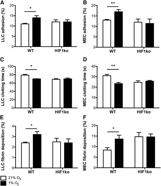 Figure 1. Hypoxia-induced increases in tumor cell coagulability are HIF1-dependent. Wild-type (WT) and HIF1α knockout (HIF1ko) LLCs and MECs were cultured under ambient (21%) and hypoxic (1%) oxygen conditions, after which (A-B) cell adhesion to fibrin, (C-D) cell coagulation times, and (E-F) fibrin deposition were assessed (n = 5 per group). *P < .05 and **P < .01.