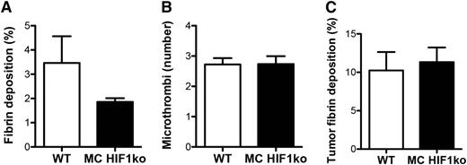 Figure 4. Cancer-associated thrombosis is unaltered in the pulmonary microvasculature and pulmonary tumors of myeloid HIF1α knockout mice. (A) Quantification of fibrin deposition and (B) microthrombi number in pulmonary microvasculature of tumor-bearing wild-type (WT) and myeloid HIF1α knockout (MC HIF1ko) mice (n = 8 per group). (C) Quantification of tumor fibrin deposition in WT and MC HIF1ko mice (n = 8 per group).