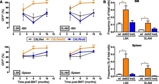 Figure 3. Different amplification of early hematopoietic stem and progenitor cells in CALRdel52 and CALRins5 mice. (A) Evolution of the percentage of GFP+ cells in BM and spleen LSK and SLAM cell compartments (n = 3 to 5). (B) Frequency of BM and spleen LSK and SLAM cells of CALRwt, CALRdel52, or CALRins5 origin after 10 months transplantation (n = 5). Results are means ± SEM. Student t test: *P < .05, **P < .001, ***P < .0001.
