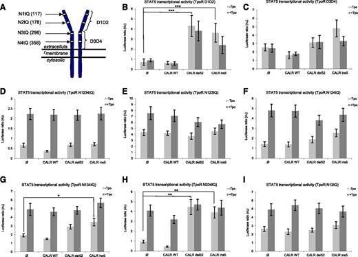 Figure 4. The membrane-distal part of extracellular domain of TpoR (D1D2) and its associated N-glycosylation sites control CALR mutant activity. (A) Schematic representation of TpoR with its extracellular subdomains and the N-glycosylation sites that have been mutated into Q. The more distal subdomains of extracellular domain of TpoR, namely D1D2, contain 2 N-glycosylated sites annotated N1 (N117) and N2 (N178). The proximal subdomains D3D4 contain two N-glycosylated sites annotated N3 (N298) and N4 (N358). STAT5 transcriptional activity was assessed by luciferase assay in γ2A cells transiently expressing STAT5, JAK2, CALR wild-type, or mutants together with the following TpoR mutants: TpoR D1D2 (B), TpoR D3D4 (C), TpoR N1234tQ (D), TpoR N123tQ (E), TpoR N124tQ (F), TpoR N134tQ (G), TpoR N234tQ (H), and TpoR N12tQ (I). Mutant TpoR missing D1D2, rather than D3D4, is unable to support CALR mutant activity (B). Values shown represent the average of 3 pooled independent experiments, each performed with 3 biological replicates ± SEM. Statistical analysis (jmp pro11) was performed by the nonparametric multiple comparisons Steel test with a control group; *P < .05, **P < .01, ***P < .001.