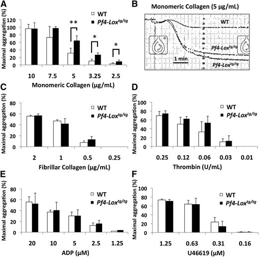 Figure 5. Platelets from Pf4-Loxtg/tg mice have enhanced aggregation to monomeric collagen. (A) Platelet aggregation in response to monomeric collagen in WT (n = 8) and Pf4-Loxtg/tg platelets (n = 6). *P < .01, **P < .001. (B) Representative aggregation trace at 5 μg/mL of monomeric collagen. (C-F) Platelet aggregation in response to fibrillar collagen in WT and Pf4-Loxtg/tg platelets (n = 3 per genotype) (C), to thrombin in WT (n = 7) and Pf4-Loxtg/tg platelets (n = 6) (D), to adenosine 5′-diphosphate (ADP) in WT (n = 7) and Pf4-Loxtg/tg platelets (n = 6) (E), and to U46619 in WT and Pf4-Loxtg/tg platelets (n = 5 per genotype) (F). Data represented as average ± SD.