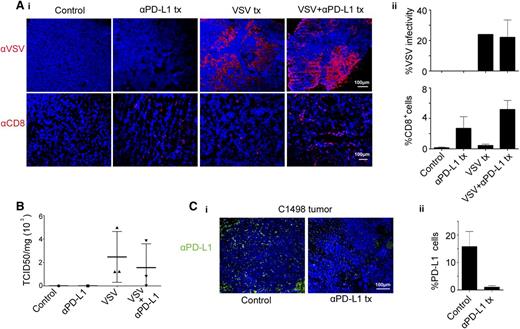 Figure 2. Analysis of explanted C1498 tumors revealed robust VSV infection of tumors. C1498 tumors from mice treated IV with 108 TCID50 VSV-mIFNβ-NIS, with and without anti-PD-L1 Ab, were excised on day 3 after VSV therapy. (A) (i) Representative images of immunohistochemical staining for distribution of VSV infectious foci and CD8 T cells in tumors. (ii) The extent of VSV and CD8 staining in tumors (percentage of coverage) was analyzed on NIH ImageJ software. Data represent mean ± SEM (n = 3 mice) from each group. (B) Viral titers recovered from explanted tumors of mice that received 108 TCID50 VSV. The data are expressed as TCID50 virus per mg of tumor (n = 3, mean ± SEM). (C) (i) Immunohistochemical staining showing PD-L1 expression on C1498 tumors, harvested at 3 days post-Ab. Scale bar represents 100 μm. (ii) Histogram and error bars represent the mean ± SEM (n = 3 mice) from each group. tx, treatment.