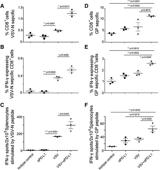 Figure 5. Characterization of T-cell responses against viral and tumor antigens in VSV-treated C1498.GFP tumor bearing mice. Analysis for VSV (A-C) and GFP tumor antigen (D-F) T cells by pentamer assay, IFN-γ intracellular staining, and ELISPOT IFN-γ assay. C57BL/6 mice were given C1498.GFP IV and, on day 10, received 1 dose 108 TCID50 VSV-mIFNβ-NIS IV, with or without anti-PD-L1 Ab on days 13 and 16. Mice were harvested 7 days post-VSV and splenocytes were used in assays to evaluate the presence of virus or tumor-reactive T cells. Splenocytes were stimulated with VSV NP 52 peptide or EGFP118-126 peptides to detect for VSV or GFP-reactive T cells. (A,D) Pentamer assay, (B,E) IFN-γ intracellular staining, and (C,F) ELISPOT IFN-γ assay. Mean ± SEM (n = 3 mice per group). *P ≤ .05. The unpaired Student t test was used. GP, GFP specific peptide (EGFP118–126).