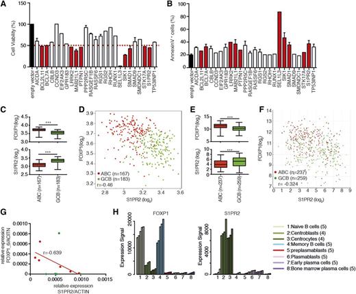 Figure 2. Functional analysis of the proapoptotic activity of putative FOXP1 targets. (A-B) U-2932 cells were transfected with the indicated expression plasmids and analyzed with respect to cell viability and apoptosis 48h later. Cell viability was determined by CellTiter Blue assay (A) and apoptosis was assessed by Annexin V staining (B). Red indicates target genes that reduce cell viability by >50% upon ectopic expression, compared with the empty vector control. Data are shown as means of 1 or 2 (+SEM) experiments; note that the same batch of transfection reagents was used throughout, every cDNA was expressed under the same promoter, and the same batch of transfected cells was used for the CellTiter Blue and apoptosis assays. (C-F) FOXP1 and S1PR2 expression in tumors from 2 patient cohorts consisting of 350 DLBCL patients23 (C-D) and 496 DLBCL patients14 (E-F), which were further stratified based on ABC vs GCB subtype. ***P < .001 (2-tailed Mann-Whitney U test). Data sets were analyzed using R software or the R2 microarray analysis and visualization platform (http://r2.amc.nl). (G) S1PR2 and FOXP1_6 expression levels were determined in DLBCL cell lines by qRT-PCR (normalized to ACTIN). Red dots indicate ABC-type and green dots GCB-type cell lines. The correlation coefficient was calculated for the ABC cell lines only. (H) Expression levels of FOXP1 and S1PR2 during B-cell development were determined using publicly available data from Genomicscape.24 The number in brackets denotes the number of samples analyzed per B-cell developmental stage.
