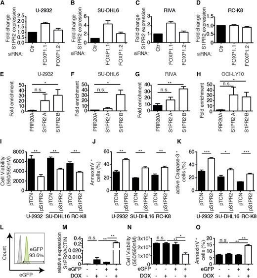 Figure 3. S1PR2 is a direct, repressed target of FOXP1 with proapoptotic activity in DLBCL cell lines. (A-D) S1PR2 expression levels were determined by qRT-PCR (normalized to ACTIN) after 72 hours of FOXP1 depletion in the indicated cell lines. Data are represented as fold change over the negative control siRNA (means + SEM of at least 3 independent experiments are shown). (E-H) ChIP followed by qPCR of 2 FOXP1-bound regions 2.5 kb and 5 kb upstream of the S1PR2 transcription start site that were identified by ChIP sequencing. Data are shown as fold enrichment relative to an unspecific immunoglobulin G control antibody for the 4 indicated cell lines. A locus in the PRR20A gene was used as a negative control.17 Data represent means + SEM of at least 3 independent experiments. (I-K) Viability and apoptosis of the 3 indicated DLBCL cell lines 48 hours posttransfection with an S1PR2 expression plasmid or empty vector. Cell viability was assessed using CellTiter Blue (I) and apoptosis was assessed using Annexin V (J) or cleaved caspase-3 staining (K). Data represent means + SEM of at least 3 independent experiments. (L) A representative enhanced GFP histogram of SU-DHL6 cells after infection with virus particles harboring pIND21-S1PR2. (M-O) S1PR2 expression was induced for 72 hours with doxycycline in SU-DHL6 cells transduced with pIND21-S1PR2 prior to the assessment of S1PR2 transcript levels (M), as well as viability and apoptosis by CellTiter Blue assay and Annexin V staining (N-O); data of 3 independent experiments are shown as means + SEM. *P < .05, **P < .01, and ***P < .001 (2-tailed Student t test). n.s., not significant.