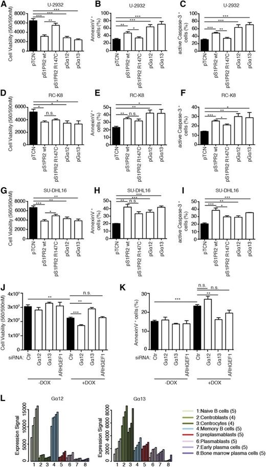 Figure 4. The proapoptotic activity of S1PR2 is mediated by Gα13. (A-I) The 3 indicated DLBCL cell lines were transfected with plasmids encoding either wild-type or mutant S1PR2, or Gα12, or Gα13. Cell viability and apoptosis were assessed after 48 hours by CellTiter Blue assay (A,D,G), Annexin V staining (B,E,H), and cleaved caspase-3 staining (C,F,I). Data are represented as means + SEM of at least 3 independent experiments. Note that roughly equal expression of the 4 constructs was verified using FLAG-tagged versions of the proteins (data not shown). (J-K) Viability and apoptosis of SU-DHL6 cells that inducibly express S1PR2 72 hours posttransfection with the indicated siRNAs; transfected cells were additionally exposed to doxycycline for the last 48 hours of the experiment where indicated. Cell viability was assessed using CellTiter Blue assay (J); apoptosis was assessed by Annexin V staining (K). Data represent means +SEM of 3 independent experiments. *P < .05, **P < .01, and ***P < .001 (2-tailed Students t test). (L) Expression levels of Gα12 and Gα13 during B-cell development, as determined using publicly available data from Genomicscape.24 Ctr, control; n.s., not significant.