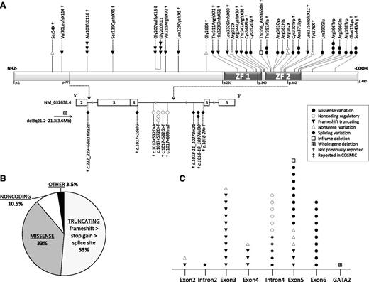 Figure 3. Landscape of GATA2 mutations in childhood MDS. (A) Distinct mutations identified in 57 patients are shown. The presumed functional effect of mutations is depicted by symbols as shown in the legend box. Top panel depicts the GATA2 protein structure with the known DNA-binding zinc fingers 1 (ZF1) and 2 (ZF2). GATA2 gene structure (NM_032638.4) is shown below and begins with exon 2 (first coding exon). Relevant introns represented by gray line are stretched out (ie, intron 4 that contains the regulatory sites E-box, GATA, and ETS). Italic font depicts splice site variants. Mutations previously reported in the Catalogue of Somatic Mutations in Cancer (COSMIC) database were Ser139CysfsX45 in pancreas carcinoma (ID COSS2068125), and Gly200ValfsX18 in a patient with adenocarcinoma of the colon (ID COSS1650947); both mutations were confirmed as germline in our patients. (B) Pie chart depicting the proportion of patients with different mutation types; 53% of patients carry truncating mutations, among them, frameshift being the most common followed by stop gain and splice site mutations. (C) Distribution of distinct mutations identified in 57 patients in relation to their localization within the gene.