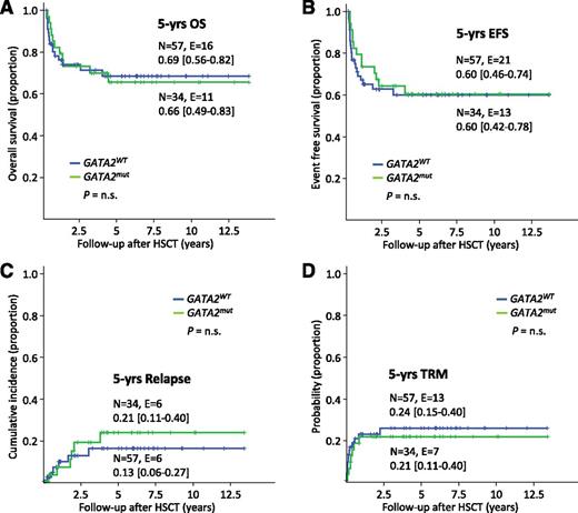 Figure 5. Outcome from HSCT based on GATA2 status in patients with monosomy 7. Kaplan-Meier survival curves and cumulative incidence curves according to GATA2 mutational status in 91 patients with monosomy 7 undergoing HSCT. (A) OS, (B) EFS, (C) incidence of relapse, and (D) probability of TRM. n.s., not significant; N, patients under risk; E, events.