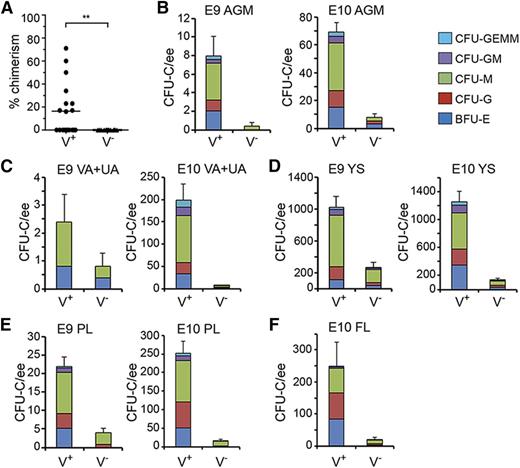 Figure 3. Quantitation of functional HSCs and HPCs in G2V embryonic hematopoietic tissues. HSCs in sorted Venus+ and Venus− cell fractions of E11 AGM were analyzed by transplantation into irradiated adult recipients. (A) Percentage donor cell chimerism was determined by Venus PCR of peripheral blood DNA at 4 months after transplantation. Each dot represents 1 recipient receiving 1.7 to 6.5 embryo equivalent (ee) of AGM cells. n = 7. **P = .0089. (B-F) Hematopoietic progenitor number per tissue in sorted Venus+ and Venus− cell fractions of (B) E9 and E10 AGM, (C) E9 and E10 VA+UA, (D) E9 and E10 YS, (E) E9 and E10 PL, and (F) E10 FL. CFU-C per 1 ee of tissue is shown. Colony types designated by colored bars are CFU-granulocyte, erythroid, monocyte, megakaryocyte (GEMM); CFU-granulocyte, macrophage (GM); CFU-macrophage (M); CFU-granulocyte (G), and burst forming unit-erythroid (BFU-E). SEM of total CFU-C is shown; 2 ee of somite pair–matched tissues were pooled for sorting and yielded 1 ee for colony analysis.