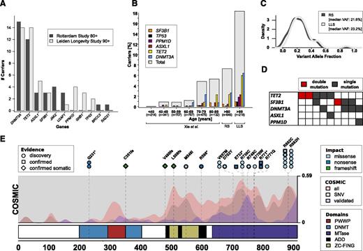 Figure 1. Characterization of identified variants in blood of the RS and LLS elderly subsample. (A) Mutations in genes previously linked to hematopoietic malignancies. Barplot of the number of individuals carrying a mutation, split by genes and study. Note that only 11 of the 15 investigated genes had a mutation (see supplemental Appendix 4 for a complete list). (B) Prevalence of carriers of somatic mutations stratified by age category using data of Xie et al2 and the observations in the RS and LLS elderly subsample. (C) Distribution of VAFs of the identified mutations. (D) Comutation plot of carriers with 2 independent mutations. (E) Overview of mutations in DNMT3A identified in the RS and LLS elderly subsample. Variants are annotated at the top with color coding to indicate the impact and a shape to indicate the types of follow-up experiments. Circles indicate mutations detected in our sequencing data; squares indicate mutations also validated by Sanger sequencing; diamonds indicate mutations also validated by Sanger sequencing and absent in an IBD2 matched sib, that is, confirming somatic variations. Mutations identified in multiple carriers are indicated with stacked annotations and those having bold borders were identified in the LLS. Missense variants are only included whenever they are present on a curated list of recurrently reported variants in the Catalogue Of Somatic Mutations In Cancer (COSMIC)7 assembled by Jaiswal et al4. Domains: ADD, histone-binding domains; DNMT, DNA methyltransferase interaction domain; MTase, methyltransferase domain; PWWP, conserved DNA binding domain; ZC-FING, zinc finger domains. COSMIC, densities of somatic variants identified in hematopoietic or lymphoid tissue collected by the Catalogue Of Somatic Mutations In Cancer (COSMIC)7 database: all small variants (red), missense single nucelotide variants (SNVs) (gray), small variants confirmed to be of somatic origin (blue).