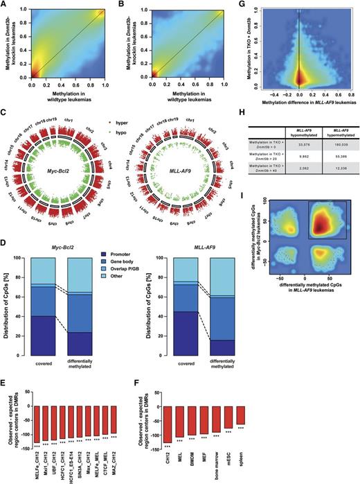 Figure 4. Dnmt3b induces DNA methylation changes detected by RRBS. (A-B) Smoothened scatter plots of methylation values for Dnmt3b-knock-in vs wild-type control samples in Myc-Bcl2 (A) and MLL-AF9 (B) leukemias, respectively. Colors represent the density of points ranging from red (high density) to blue (low density). (C) Chromosomal distribution of DMCs in Myc-Bcl2 (left) and MLL-AF9 (right) leukemias. Every dot represents 1 DMC. Red indicates DNA hypermethylated DMCs in Dnmt3b-knock-in samples, green indicates hypomethylated DMCs. (D) Region presence of covered and DMC sites across different genomic regions. Promoter regions were defined as 1000 bp upstream of transcriptional start site (TSS) to 500 bp downstream of TSS; gene bodies were defined as 500 bp downstream of TSS to end of gene. GB, gene bodies; P, promoter. (E-F) Presence of transcription factor binding sites (E), and RNA polymerase II binding sites (F) among DMRs. The number of centers of a particular region of interest that could be expected in DMRs under the assumption of a uniform distribution in RRBS-covered regions (expected region centers) was subtracted from the number of region centers actually found in DMRs (observed region centers). The bars visualize the differences of observed and expected region centers in hypermethylated DMRs. ***P < .001. (G) Smoothed scatter plot shows CpG sites that gained DNA methylation in previously published Dnmt triple-knockout mice (TKO) with reintroduced Dnmt3b50 and the corresponding DNA methylation difference in MLL-AF9 leukemias (Dnmt3b-knock-in − wild-type). Methylation in TKO + Dnmt3b indicates CpGs that gain DNA methylation after eradication of existing DNA methylation patterns in TKO cells following reintroduction of Dnmt3b. (H) Number of CpG sites that show methylation gain in TKO murine embryonic stem cells >0, >20, or >40, and hypo- or hypermethylation in Dnmt3b-knock-in MLL-AF9 leukemias. (I) Smoothed scatter plot showing all CpGs that are differentially methylated in Myc-Bcl2 and MLL-AF9 leukemias, respectively. The majority of DMCs showed hypermethylation in both leukemias.