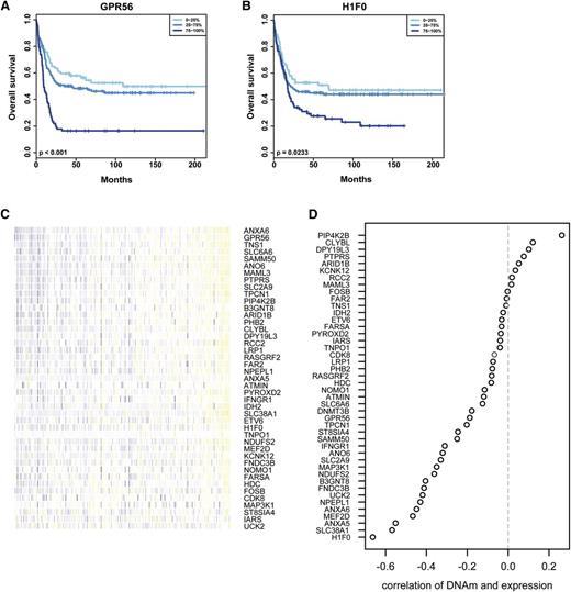 Figure 6. Analysis of Dnmt3b-regulated genes in human AML data sets. (A-B) Candidate genes were analyzed for their prognostic impact in human leukemia using published patient data and the Leukemia Gene Atlas. Gene expression data were grouped into quartiles, and survival outcome was analyzed in a patient data set published in 2009 by Verhaak et al.64 Shown is overall survival in AML patients for low (0% to 25%), intermediate (25% to 75%), and high (75% to 100%) expression levels of the candidate genes GPR56 (P < .001) (A) and H1F0 (P = .023) (B). (C) DNA methylation (DNAm) levels of candidate genes were analyzed in 194 AML patients using Illumina bead array data available from the TCGA database. Each column represents 1 patient, and methylation levels are color coded with blue representing low methylation and yellow representing high methylation. (D) Correlation between DNA methylation levels and gene expression for the identified target genes from AML patients in the TCGA database. Depicted is the correlation coefficient for all candidate genes. Overall, 34 genes showed significant negative correlation between methylation and expression.