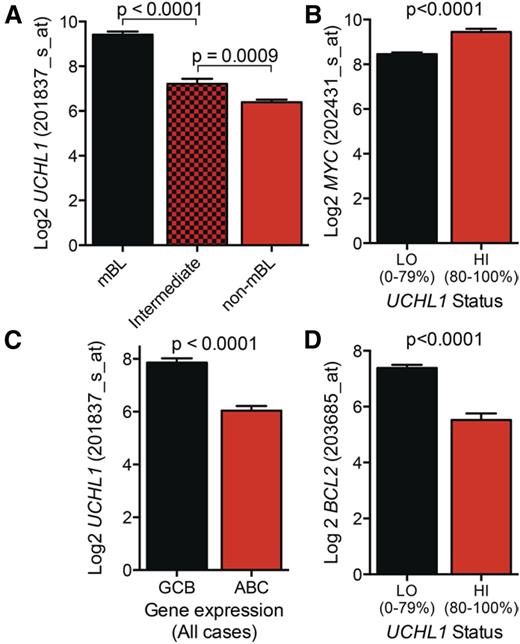 Figure 1. UCHL1 expression is highest in GCB-derived lymphomas. (A,C) The expression of UCHL1 as reflected in RNA microarray data are shown for a series of 215 cases of mature B-cell lymphoma classified based on molecular classification as either mBL, non-mBL, or intermediate (A) or cell-of-origin gene expression classification including both mBL and non-mBL cases (C). (B,D) Expression of MYC (B) or BCL2 (D) in cases from panel A classified based on the level of UCHL1 as shown. Data were extracted from GSE447514 and analyzed using the R2: Genomics Analysis and Visualization Platform (http://r2.amc.nl). All P values were calculated using the Student t test.