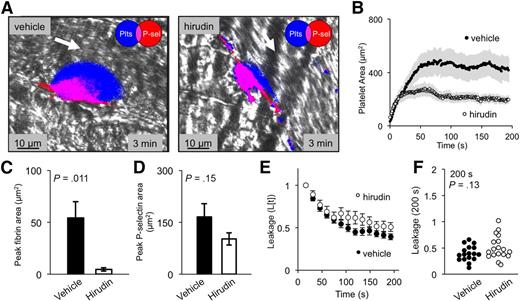 Figure 4. Thrombin inhibition decreases fibrin accumulation and thrombus size, but not vessel sealing. (A) Representative images of thrombi formed either in the presence of vehicle (left) or thrombin inhibitor hirudin (right) (∼0.7 mg/g) showing platelets (blue) and P-selectin (red) 3 minutes postinjury. (B) Quantification of average platelet area, (C) peak fibrin area, and (D) peak P-selectin area for both vehicle-treated (black) and hirudin-treated (white) thrombi (± SEM). (E) Time course of average cAlb extravasation (± SEM) and (F) dot plot of cAlb extravasation at 200 seconds for both vehicle-treated (black) and hirudin-treated (white) thrombi (vehicle n = 17, hirudin n = 18). P-sel, P-selectin.