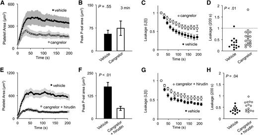 Figure 5. ADP drives fully competent core formation and shell recruitment. (A) Quantification of average platelet area, and (B) peak P-selectin–positive area of vehicle (black) and cangrelor-treated (white) thrombi. (C) Average cAlb extravasation time course and (D) dot plot of relative cAlb extravasation at 200 seconds postinjury. (A-D) Vehicle n = 15, cangrelor n = 20; ± SEM). (E) The average platelet area, and (F) peak P-selectin–positive area for vehicle (black) and cangrelor plus hirudin-treated (white) thrombi (± SEM). (G) Time course of relative cAlb extravasation, and (H) dot plot of cAlb extravasation at 200 seconds postinjury. (E-H) Vehicle, black n = 13; cangrelor plus hirudin, white n = 15.