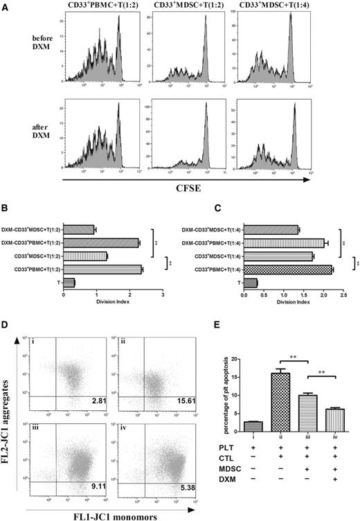 Figure 5. DXM modulation enhanced CD4+ and CD8+ T cell suppression by cytokine-induced CD33+ cells. (A) The inhibitory effect of in vitro-generated MDSCs on CD4+ T-cell proliferation. The number of peaks resembles cell division processes in DXM-modulated and unmodulated groups. (B-C) The division index of lymphocyte proliferation using in vitro-generated MDSCs from 8 randomly selected patients at 1:2 (B) and 1:4 (C) ratios. (D) A representative scatter-gram of JC1 mitochondrial potential test for platelet apoptosis. JC1 is a mitochondrial membrane potential-sensitive carbocyanine probe. Monomeric green fluorescent JC1 is taken up by high-membrane potential mitochondria, where it reversibly forms red fluorescent aggregates with loss of mitochondrial membrane potential. (E) Apoptosis level of platelets (PLT) alone (2.714 ± 0.296), platelets cocultured with CD8+ T cells (CTL; 16.094 ± 2.676), platelets cocultured with MDSC-primed CD8+ T cells (9.992 ± 1.431), and platelets cocultured with DXM-MDSC-primed CD8+ T cells (6.206 ± 0.981), using in vitro-generated MDSCs from 10 randomly selected patients. Differences between each 2 groups were compared using the Mann-Whitney test. **P < .01.