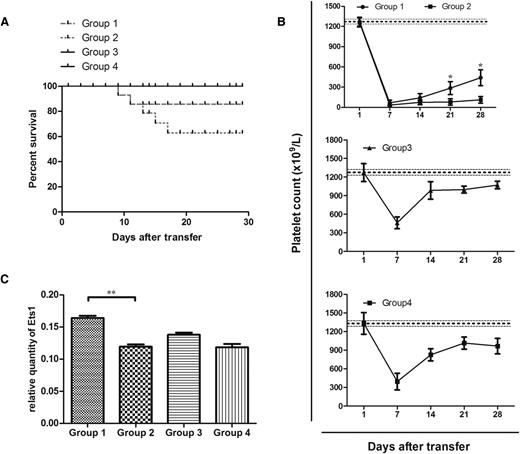 Figure 7. MDSC treatment alleviated thrombocytopenia in mice. (A) Kaplan-Meier survival plots of irradiated SCID mice transferred with (group 1) 5 × 104 immune splenocytes from CD61 KO mice immunized against WT platelets and 6 × 106 MDSCs generated from WT BM (n = 10), (group 2) 5 × 104 immune splenocytes (n = 15), (group 3) 6 × 106 MDSCs (n = 5), or (group 4) no cells at all (n = 5). The data are expressed as the percentage of survival. (B) Platelet counts in irradiated SCID mice from groups 1 to 4. Thrombocytopenia occurred in all mice on day 7. The data are expressed as platelet counts (×109/L) ± SEM over time (days). The horizontally dotted lines represent the normal platelet range. (C) Differences in gene expression of SCID splenic Ets1 in association with different cell treatments administered. Significance among groups was determined by Mann-Whitney test or analysis of variance. **P < .01.