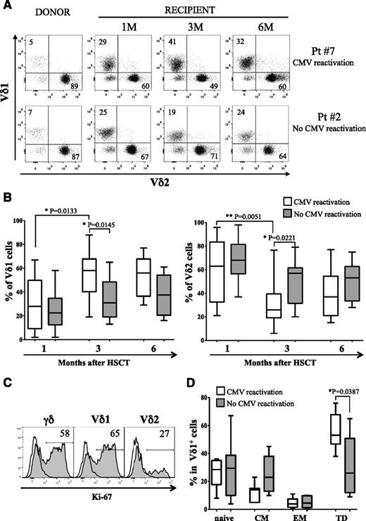 Figure 3. Circulating γδ T cells in patients experiencing CMV reactivation. (A) Vδ1 and Vδ2 subsets (percentages are indicated) were identified in gated CD45+CD3+γδ+ cells by flow cytometry using PBMCs from 2 representative cases, evaluating both donors and patients 1, 3, and 6 months post-HSCT. Patient 7 did experience CMV reactivation, whereas patient 2 did not. (B) Comparative analysis of Vδ1 (left panel) and Vδ2 (right panel) T cells was performed in patients who did experience CMV reactivation (white plots) and in those who did not (gray plots). Vδ1 and Vδ2 cells were identified in gated CD45+CD3+γδ+ cells. (C) Intranuclear expression of Ki-67 (filled profiles) shows proliferating status in CD45+CD3+γδ+, CD45+CD3+γδ+Vδ1+, and CD45+CD3+γδ+Vδ2+ cells. Empty profiles represent staining with isotype control. (D) Percentage of naïve, CM, EM, and TD was evaluated by flow cytometry in gated CD45+CD3+γδ+Vδ1+ T cells collected from patients who did experience CMV reactivation (white plots) and in those who did not (gray plots) 3 months after HSCT. Pooled results are shown. Whisker lines represent the highest and lowest values; horizontal lines represent median values.
