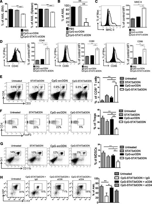 Figure 6. Antileukemic effect of CpG-STAT3dODN in vivo is immune-mediated and depends on the induction of AML immunogenicity. (A-B) NOD/SCID/IL-2RγKO (A) or Tlr9−/− mice (B) were challenged IV using CMM cells and treated using CpG(1668)-STAT3dODN, CpG(1668)-scrODN, or PBS as in Figure 5A. The percentages of GFP+c-Kit+ AML cells in different organs were determined by flow cytometry. Shown are means ± SEM from 2 independent experiments; n = 6 per group for each experiment. Statistically significant differences were indicated by asterisks. (C-D) CMM-bearing C57BL/6 mice were treated using CpG-STAT3dODN, CpG-scrODN, or PBS siRNA as in panel A. The surface expression of MHC class II (C) and costimulatory molecules CD40, CD80, CD86 (D) on splenic AML cells was assessed by flow cytometry. Shown are representative histogram overlays and bar graphs summarizing results from each group of mice (n = 6); mean ± SEM. (E-G) Systemic administration of CpG(B)-STAT3dODN treatment induces infiltration of CD8+ T cells while reducing percentages of Tregs and MDSCs in spleens of AML-bearing mice. Mice were treated as described in Figure 5A. Percentages of immune cells were assessed using flow cytometry in cell suspensions prepared from spleens of treated mice. Shown are representative histograms and combined results in bar graphs; means ± SEM (n = 6). Statistically significant differences were indicated by asterisks. (H) CD8+ and CD4+ T-cell populations are required for the antitumor effect of CpG-STAT3dODN. C57BL/6 mice were injected intraperitoneally with neutralizing antibodies specific to CD8 (2.43), CD4 (GK1.5), control immunoglobulin G (IgG) or left untreated and then challenged IV with CMM leukemia as in Figure 5A. Mice with established leukemia were injected 6 times every other day using CpG-STAT3dODN or left untreated. Percentages of AML cells in spleens were determined by flow cytometry; shown are representative dot plots and the combined results from 1 experiment using 6 mice per each experimental group; means ± SEM.
