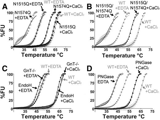 Figure 2. N-linked glycosylation stabilizes the VWF A2 domain through the N1574-GlcNAc linkage. DSF measurements, expressed as percent fluorescence (% FU), were carried out in the presence of 1 mM EDTA (open symbols) or 5 mM CaCl2 (closed symbols). WT VWF A2 was studied (gray lines, A-D) as well as VWF A2 glycan variants N1515Q, N1574Q (A), and N1515Q/N1574Q (B) and variants prepared in HEK293 GnT−/− deficient cells and following digestion with EndoH (C) and PNGase (D). Results are means ± standard error of the mean (SEM) of at least 3 independent experiments.