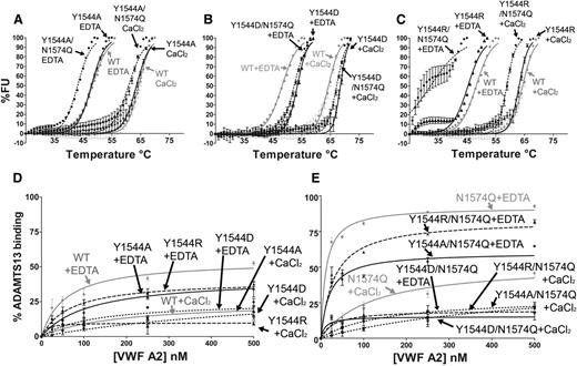 Figure 5. Functional role of Y1544 in A2 domain stability and ADAMTS13 interaction. VWF A2 variants Y1544A, Y1544A/N1574Q (A), Y1544D, Y1544D/N1574Q (B), and Y1544R and Y1544R/N1574Q (C) were subjected to DSF assay in the presence of 1 mM EDTA or 5 mM CaCl2. Unfolding curves were compared with WT VWF A2 alone (A-C, gray lines). (D-E) The solution competition binding of the above VWF A2 domain variants (Y1544A or Y1544A/N1574Q, circles; Y1544D or Y1544D/N1574Q, squares; Y1544R or Y1544R/N1574Q, triangles) were compared with WT (D, gray lines) and N1574Q (E, gray lines). Results are means ± SEM of at least 3 independent experiments.